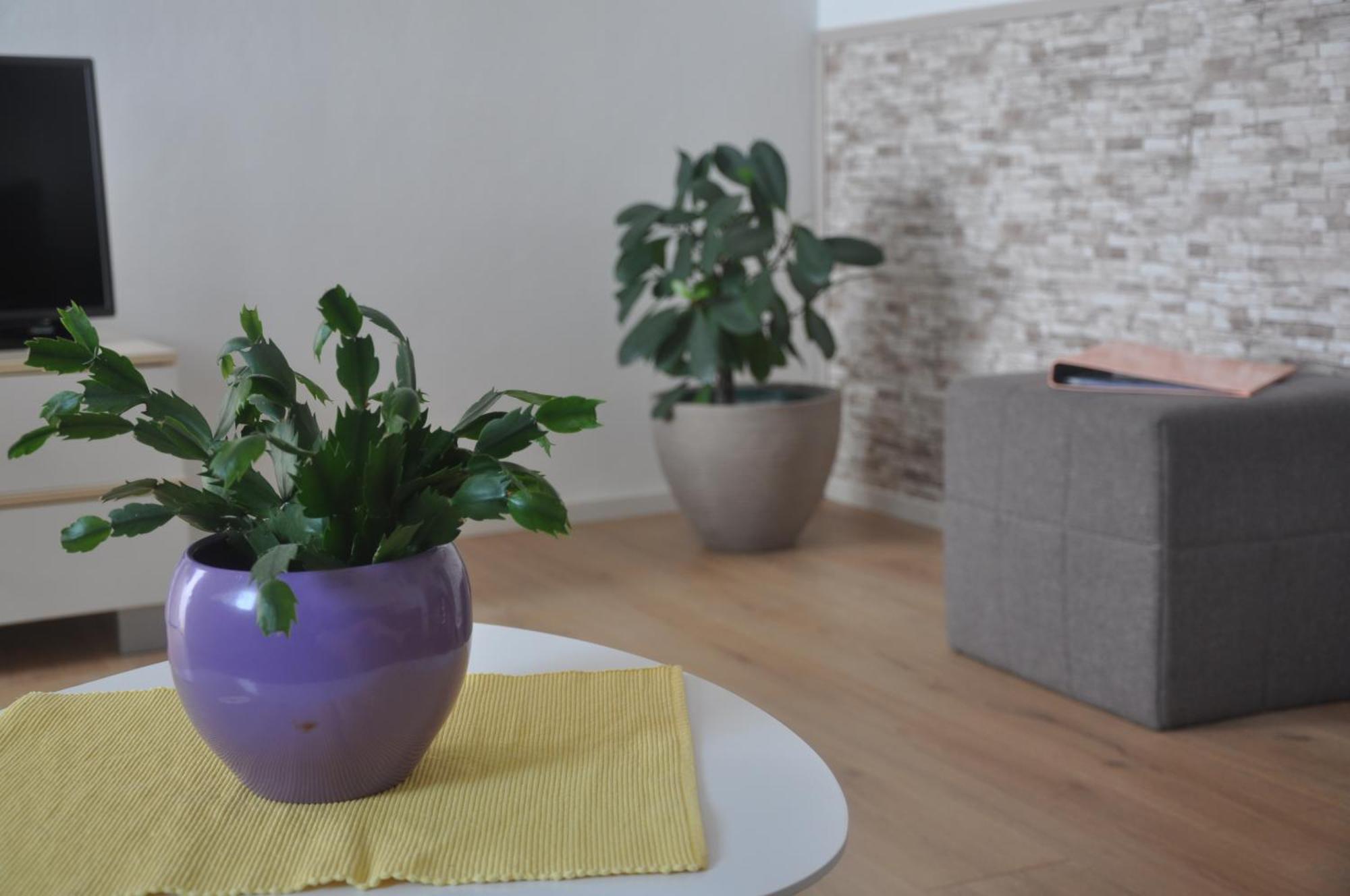 Apartman Mirna